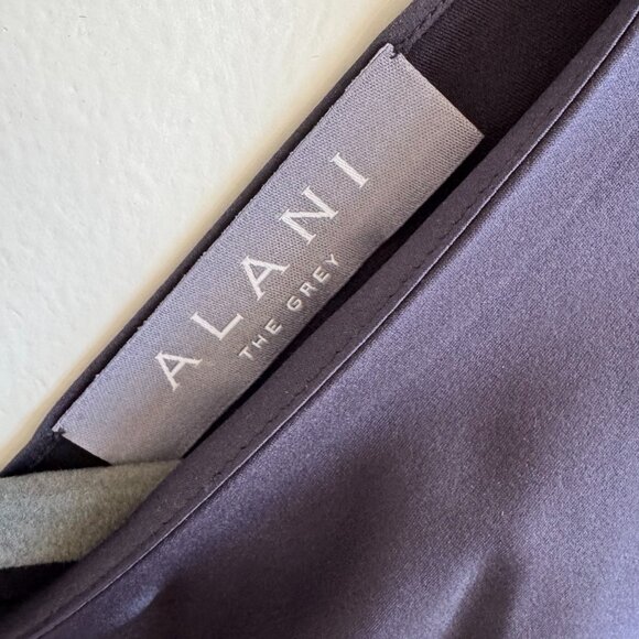 Alani Korea Navy Blue Dress NWOT - Picture 3 of 4